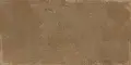 Elbrus 1 Marron Коричневый WT36ELR21 Матовая 30x60