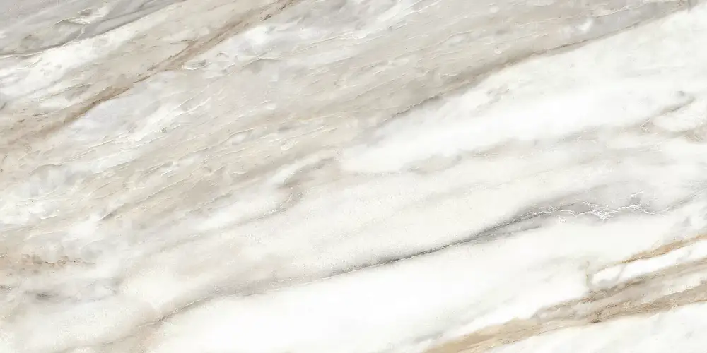 Euphoria Серый TWU2550EPH74 Матовая 24,9x50