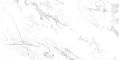 Lamia White Matt 60х120