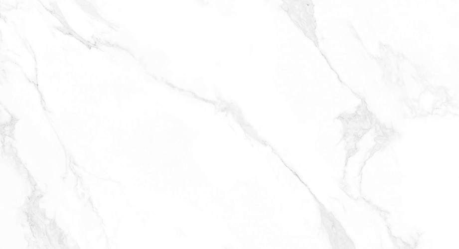 Carrara Anita Glossy M4402P Полированный Керамогранит 60x120