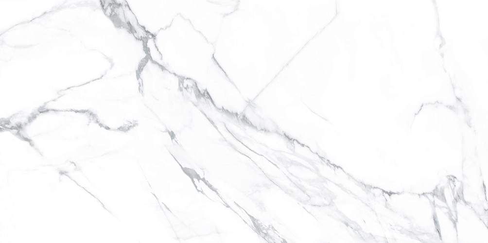 Lima Calacatta WT9LIM00 Глянцевая 24,9x50