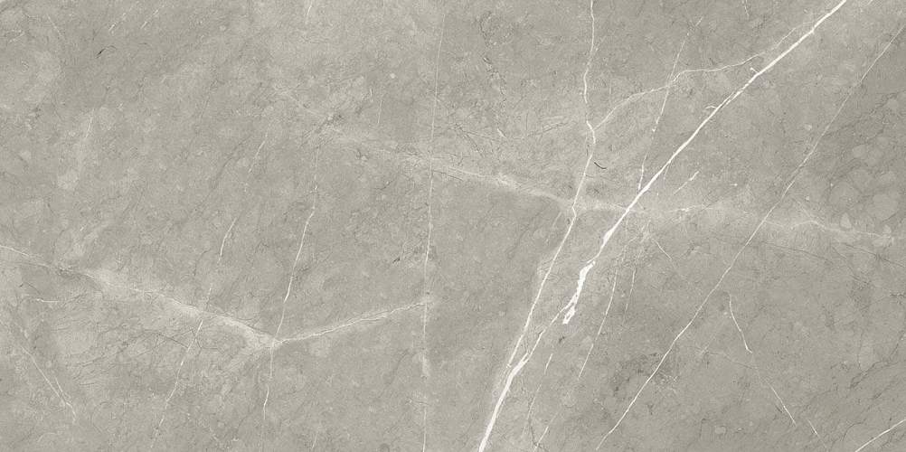 Bright And Shiny BB612NTT9102P Керамогранит 60x120