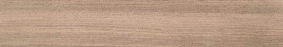 Eukalypt Miel Керамогранит 20x120