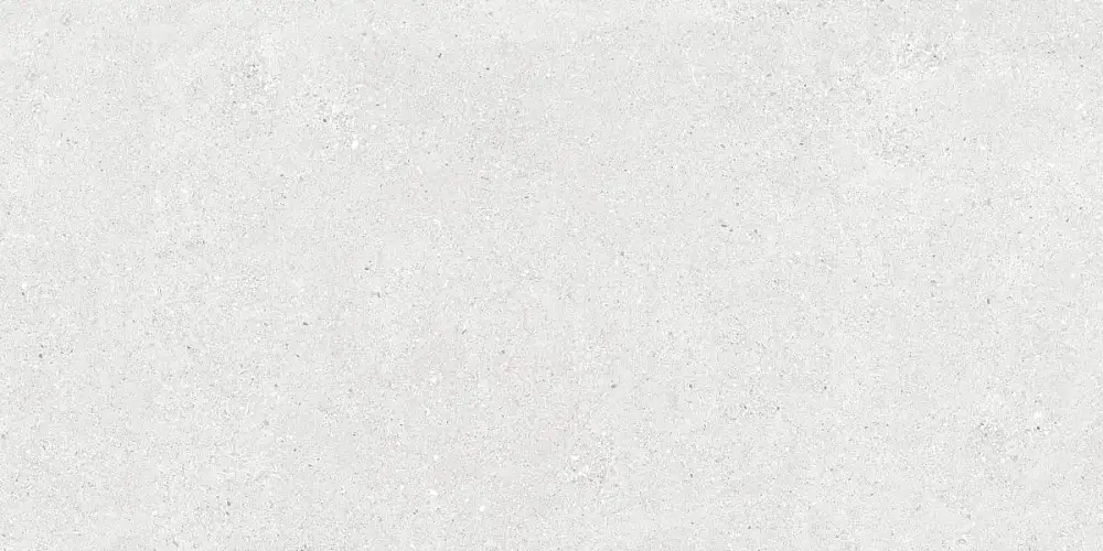 Stonhenge Grey Matt N40031 Керамогранит 60x120