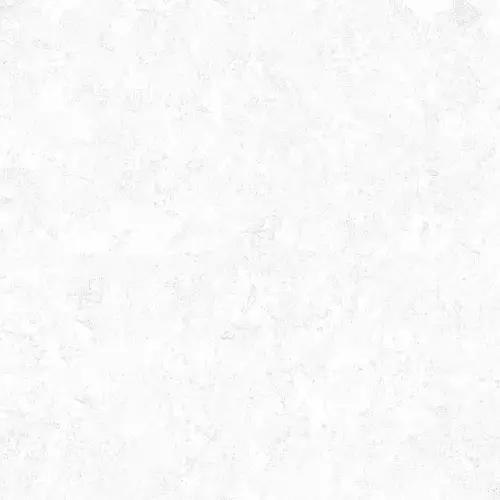 Evan White GP40PLY00L Лаппатированный Керамогранит 60x60