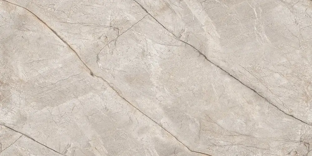 Silver Stone Carving N80016 Керамогранит 60x120