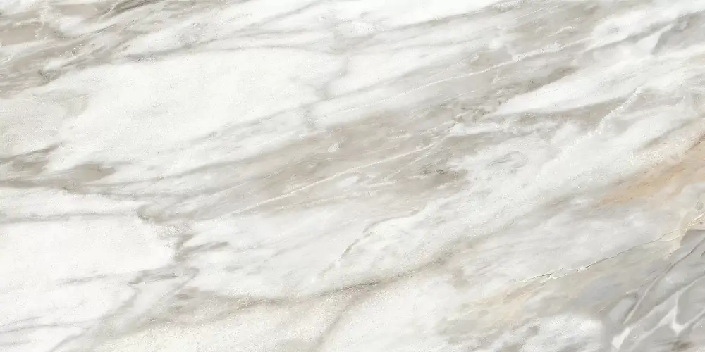 Euphoria Серый TWU2550EPH74 Матовая 24,9x50