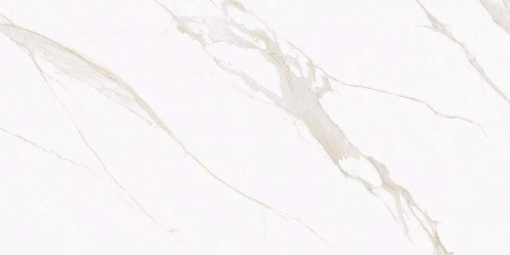 Butik  K-2021/MR/600x1200x10 Керамогранит 60x120