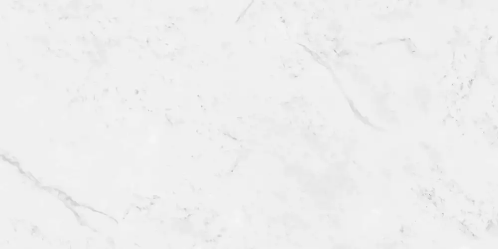 Carrara Antique Polished N12033 Керамогранит 60x120