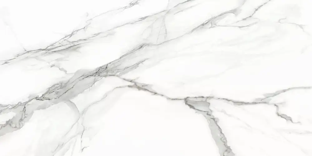 Omega Silver D12053M Матовый Керамогранит 60x120