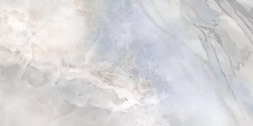 Palmira Dark WT9PAL25 Глянцевая 24,9x50