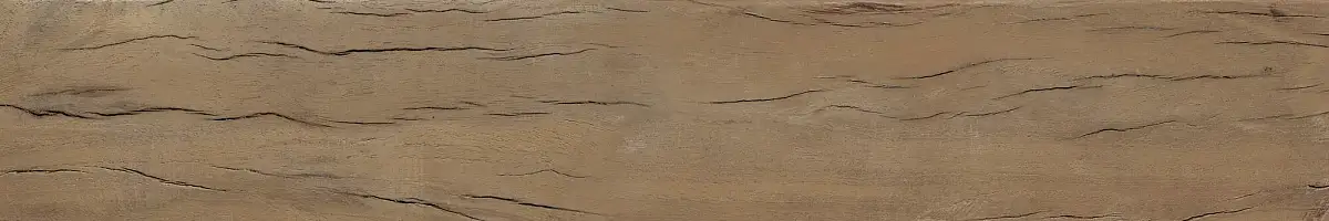 FS Forest Plank Natural 39699 Матовая 7,3x45