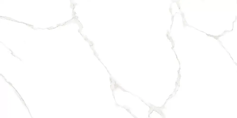 Elemento Bianco Carrara WT9ELT00 Глянцевая 25x50