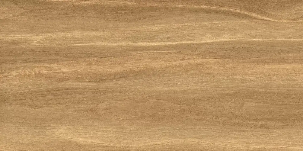 Portland Dark WT9POT21 Матовая Рельефная 24,9x50