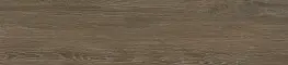 Grandwood Коричневый GFA2090GRW44R Матовый Керамогранит 20x90