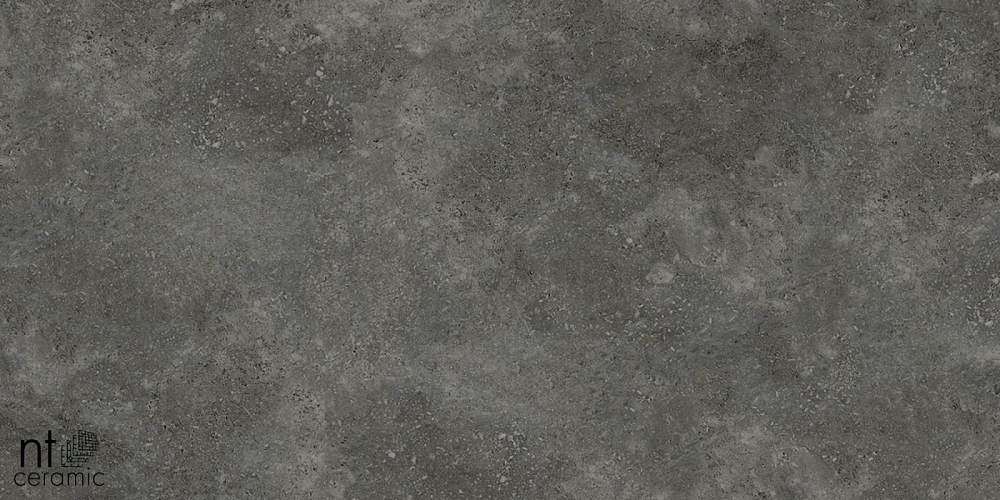 Concrete PP459NTT77003M Керамогранит 45x90