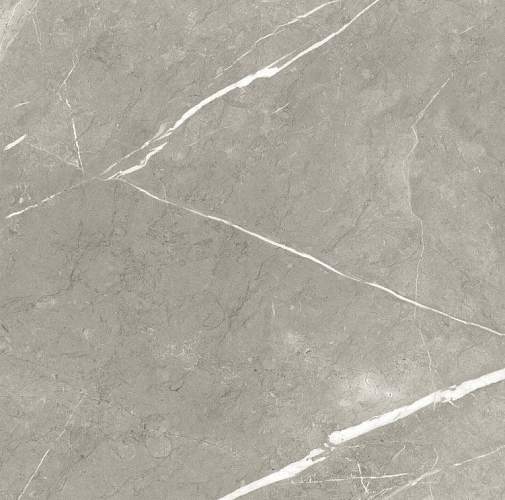 Bright And Shiny BB6NTT9102P Керамогранит 60x60