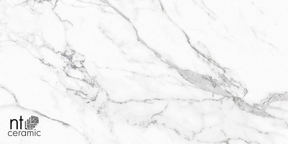 Statuario Infinity NTT9125M Керамогранит 60x120