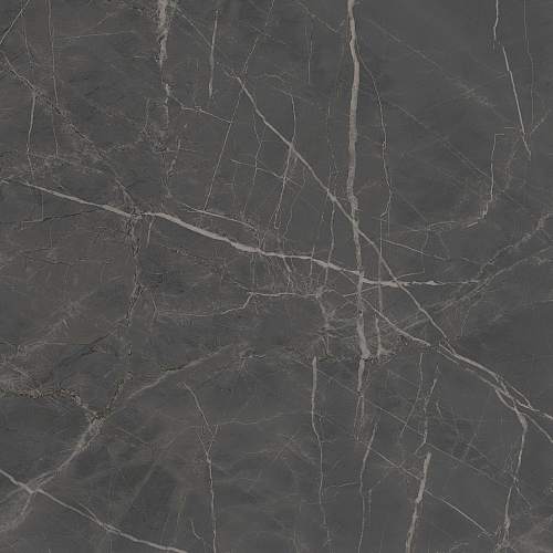 Буонарроти Серый Темный Обрезной SG642920R Керамогранит 60x60