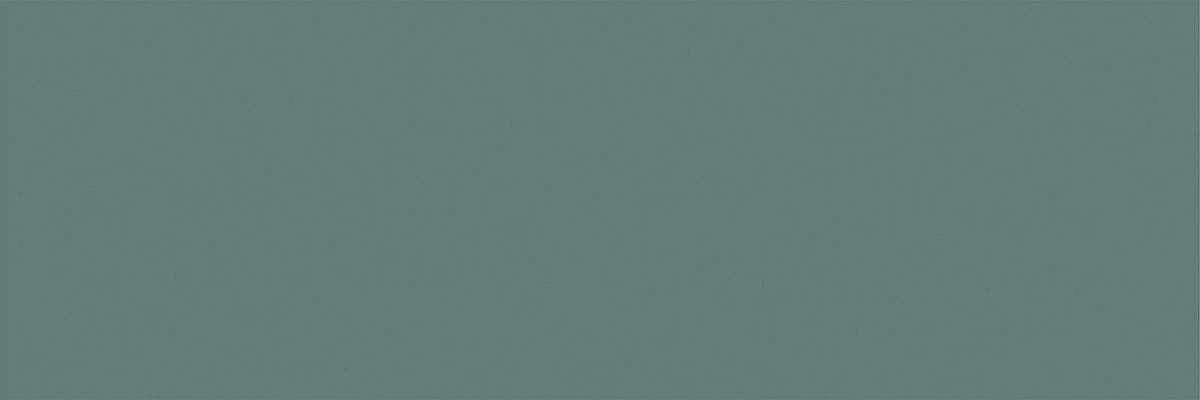 Роса Зеленая 1064-0369 20x60