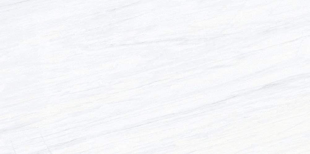 Aurora AU612NTT9801M Керамогранит 60x120