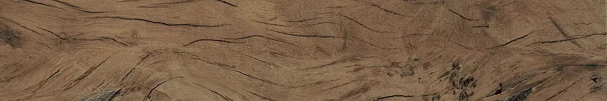 FS Forest Plank Natural 39699 Матовая 7,3x45