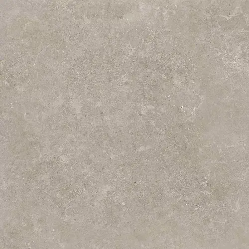 RC Shell LG Керамогранит 60x60