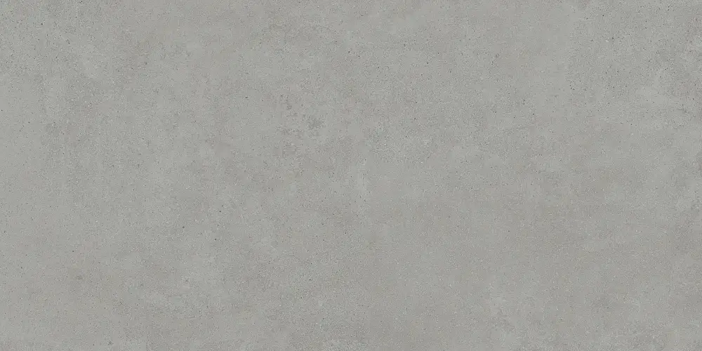 Sharp Серый GFU60120SHP70R Матовый Керамогранит 60x120