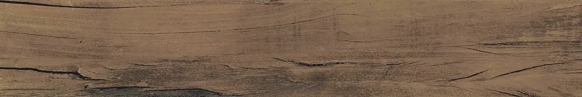 FS Forest Plank Natural 39699 Матовая 7,3x45