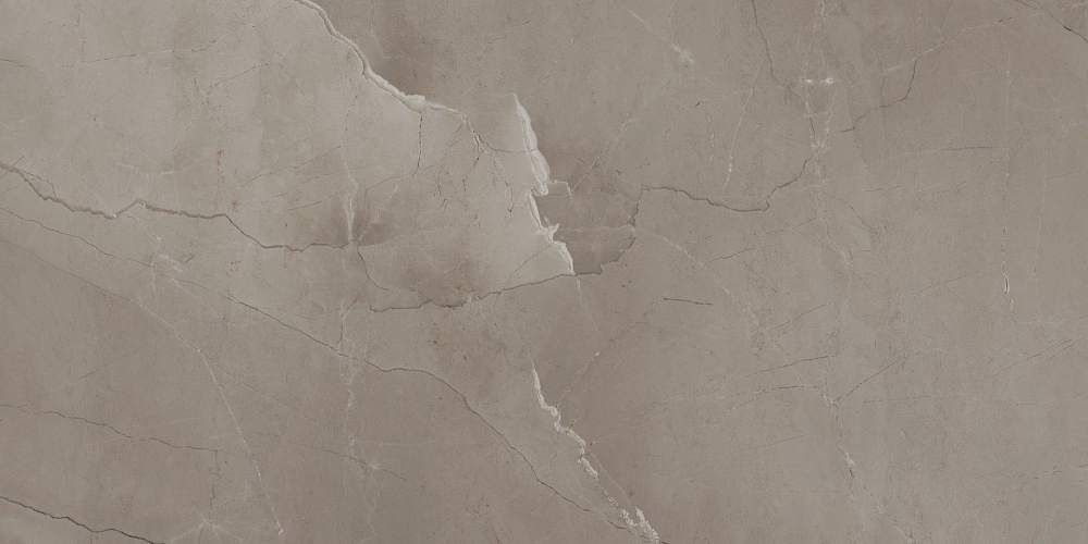 Passion Lux 90 Taupe Глянцевая 45x90