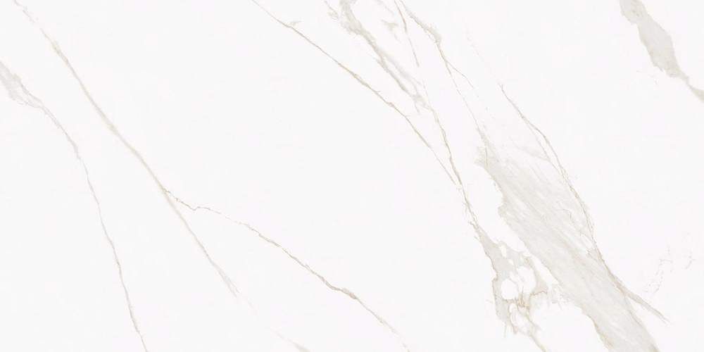 Butik  K-2021/MR/600x1200x10 Керамогранит 60x120