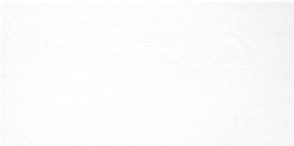 Monocolor Белый TWU09MNR020 Глянцевая 24,9x50