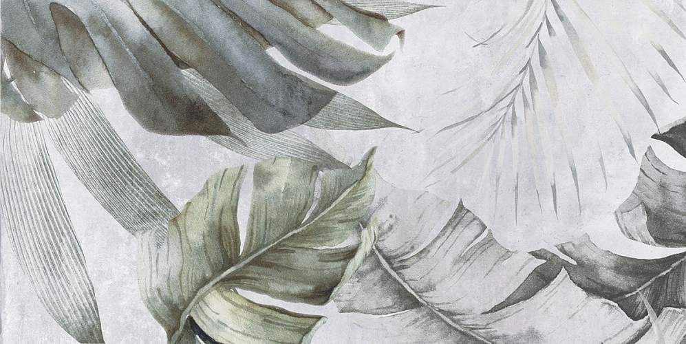 Etnis Светло-Серая Ботаника 18-00-06-3662 30х60