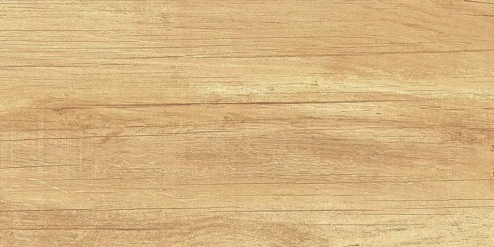 Paradise Wood WT9OAS31 Глянцевая 25x50