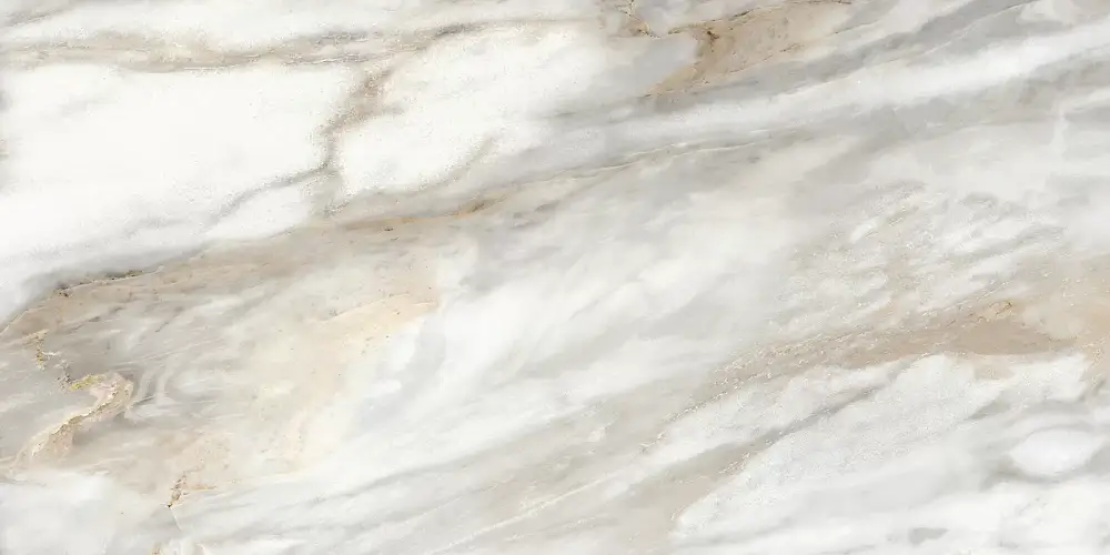 Euphoria Серый TWU2550EPH74 Матовая 24,9x50