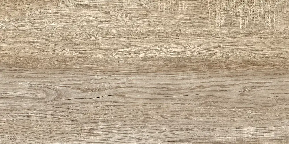 Euphoria Бежевый TWU2550EPH40 Матовая 24,9x50