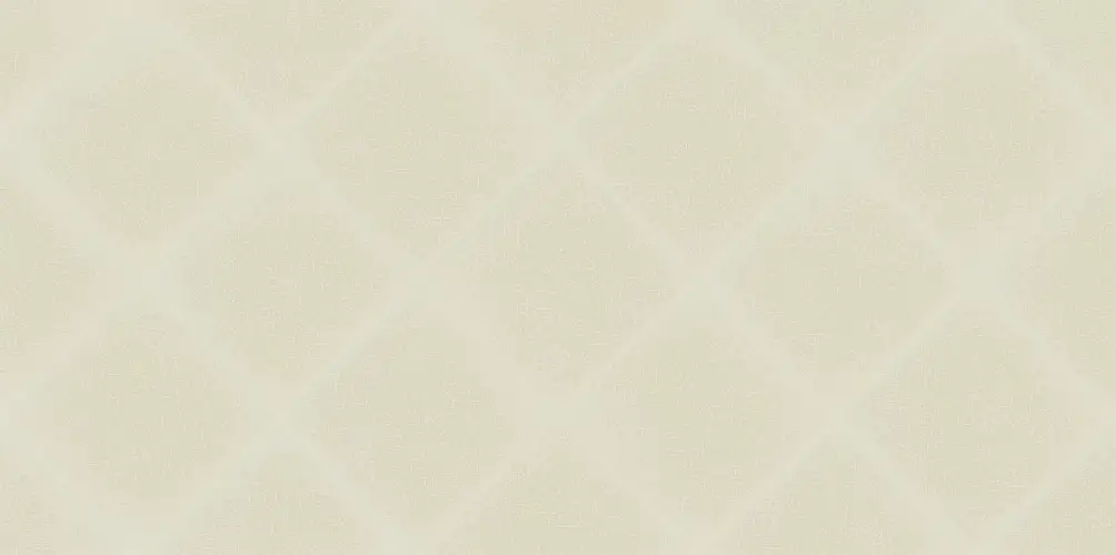 Adele Latte WT9ADE11 Глянцевая Рельефная 24,9x50