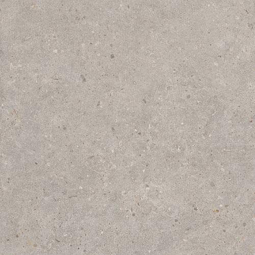 Риккарди Серый Светлый Матовый Обрезной SG653720R Керамогранит 60x60