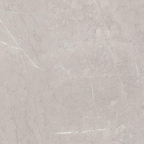 Ebri Gris 00-00002578 Керамогранит 60x60