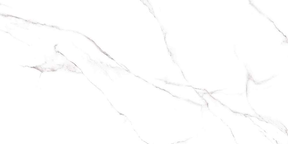 Carrara Белый GFU60120CRR00R Матовый Керамогранит 60x120