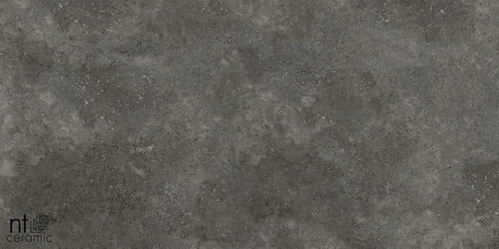 Concrete PP459NTT77003M Керамогранит 45x90