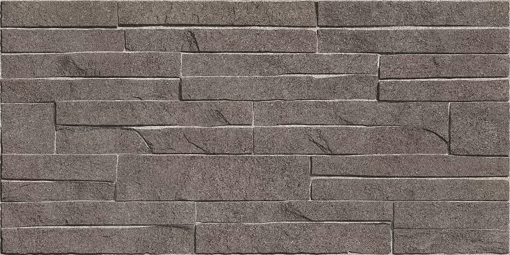 Discover Коричневый TWU2550DCV24 Матовая 24,9x50