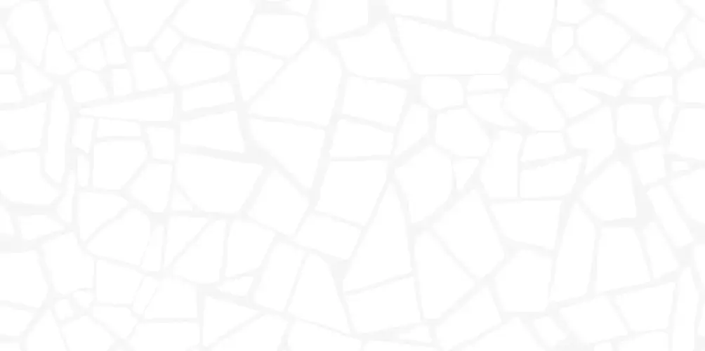 Smalta White WT9SML00 Глянцевая 24,9x50