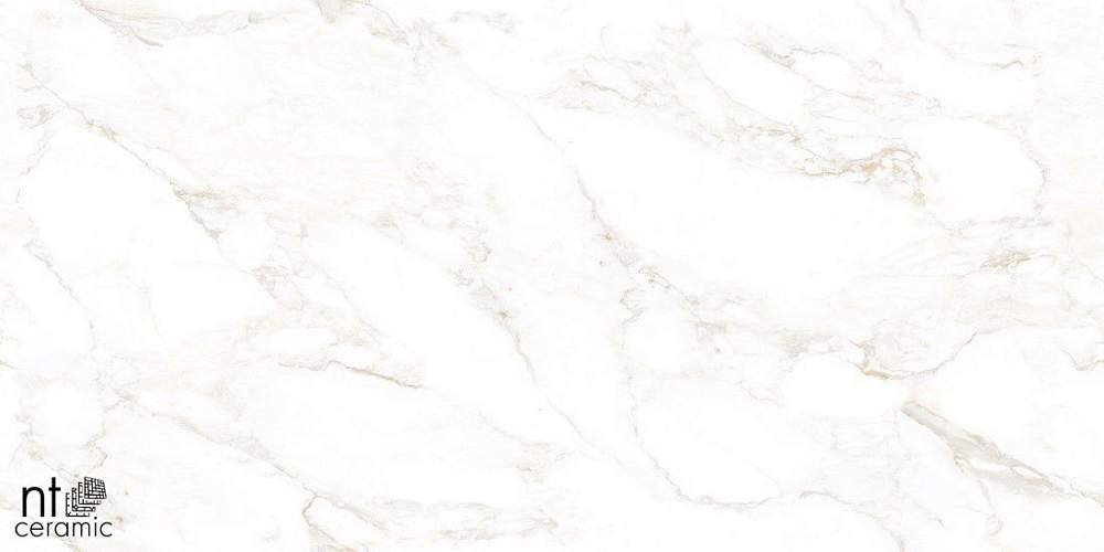 Marble Extra Endless Mat Керамогранит 60x120