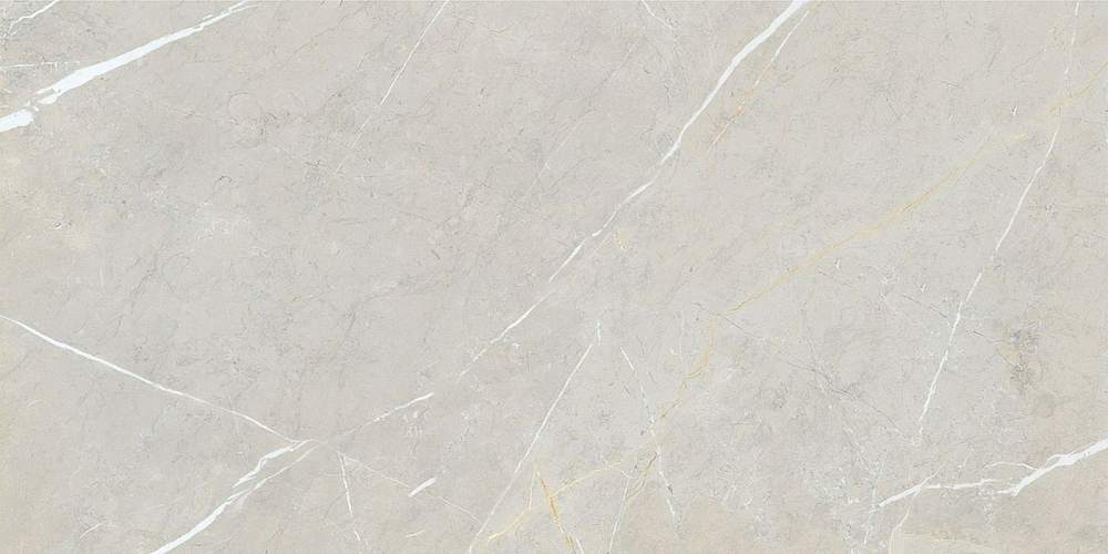 Bright And Shiny BB612NTT9101P Керамогранит 60x120