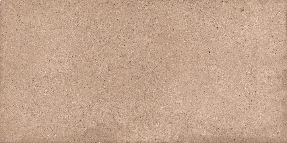 Rockstar Delhi NTTVL99828M Матовый Керамогранит 60x120