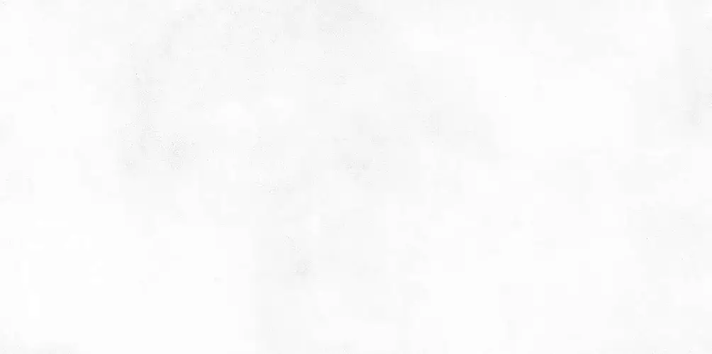 Konor White WT9KON00 Матовая 24,9x50