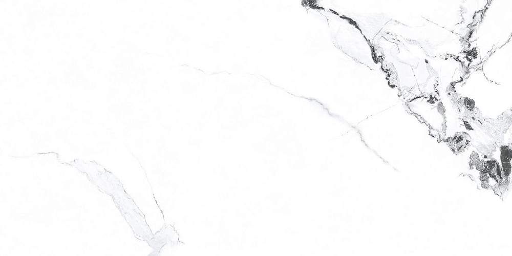 Videl Bianco Polished Керамогранит 60x120