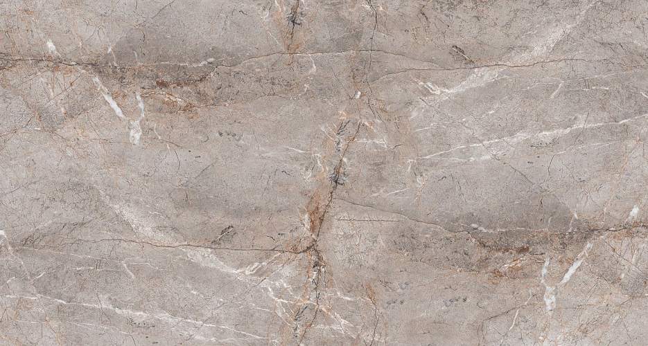 Lester Grey Mat S4431M Серый Керамогранит 60x120