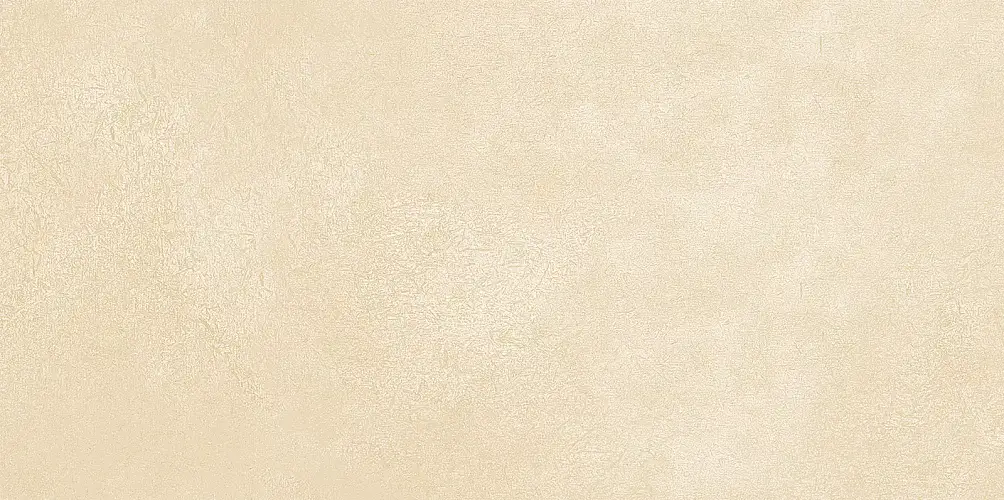 Petra Beige WT9PET11 Матовая 24,9x50